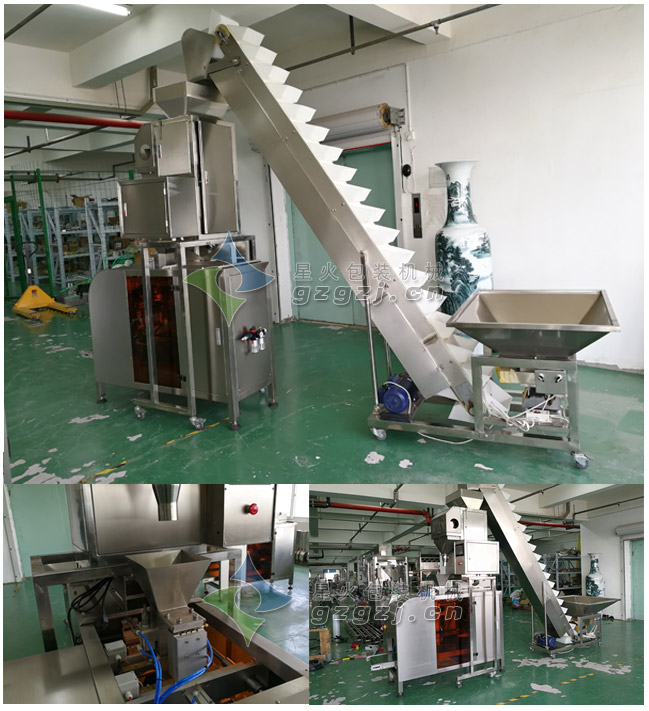 全自動堅果包裝機(jī)實拍